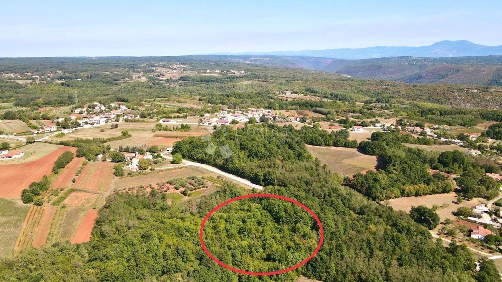 Image 6233005 - 9