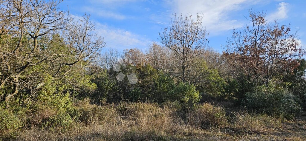 Image 6233010 - 1