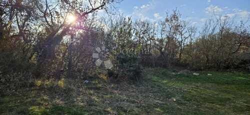 Thumbnail 6233010 - 3