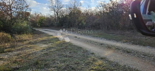 Thumbnail 6233010 - 2