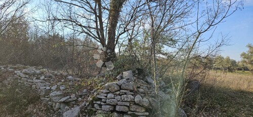 Thumbnail 6233011 - 2