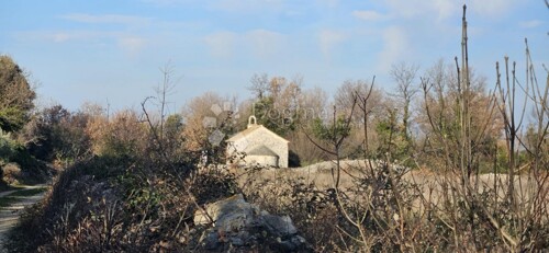 Thumbnail 6233012 - 3