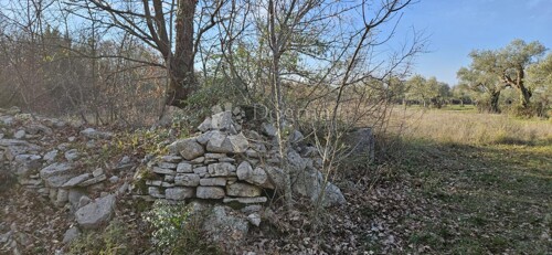 Thumbnail 6233012 - 1