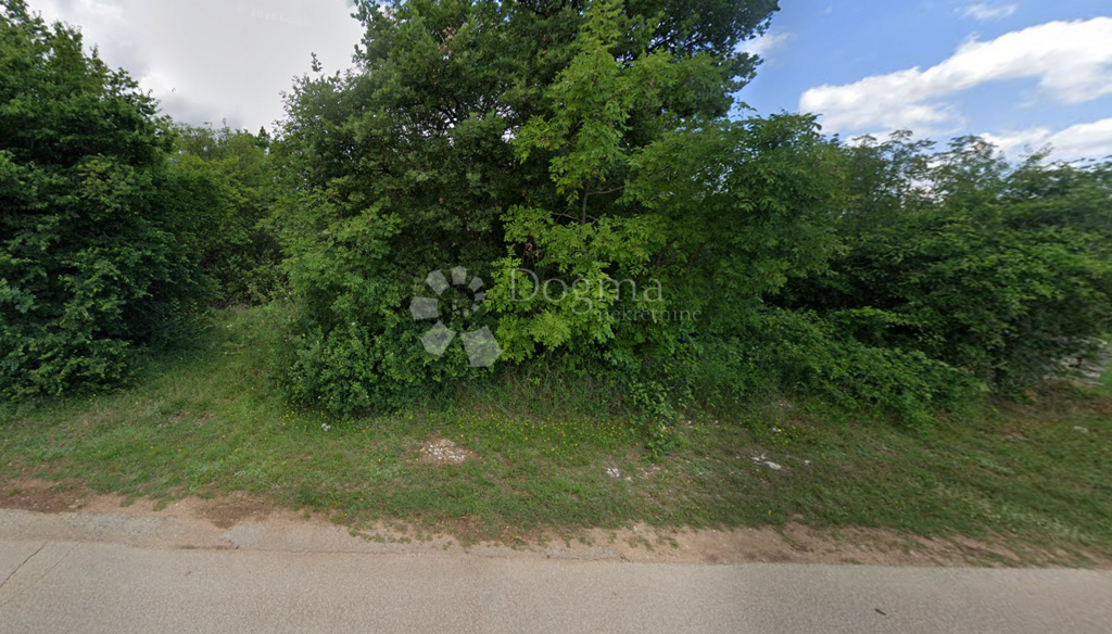 Image 6233014 - 1