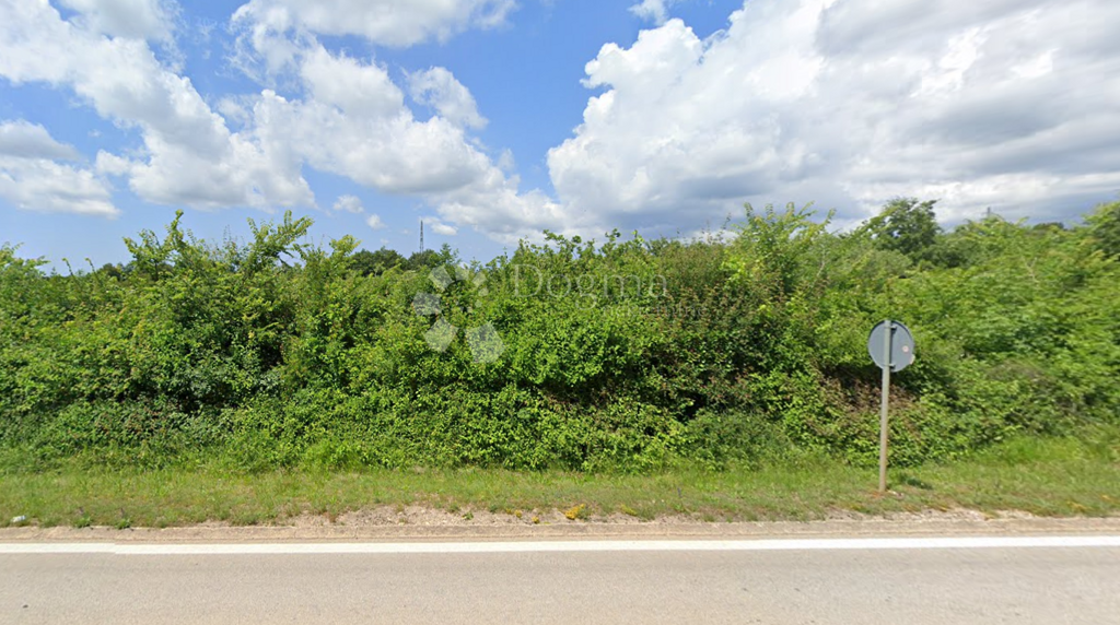 Image 6233015 - 1