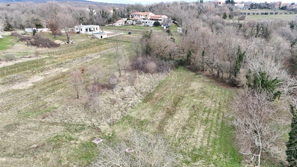 Image 6233016 - 5