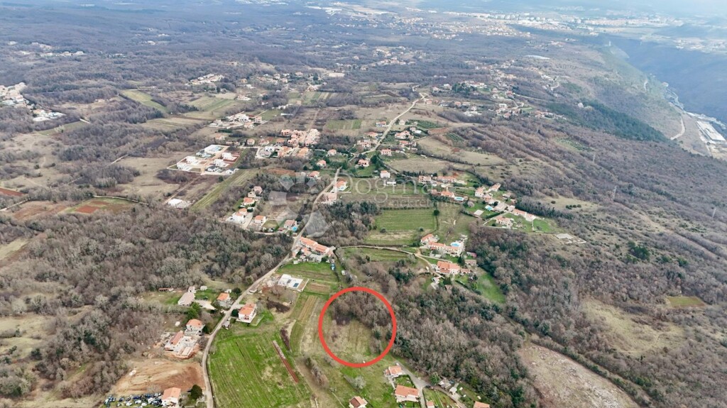Image 6233016 - 7