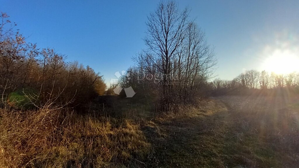 Image 6233017 - 4