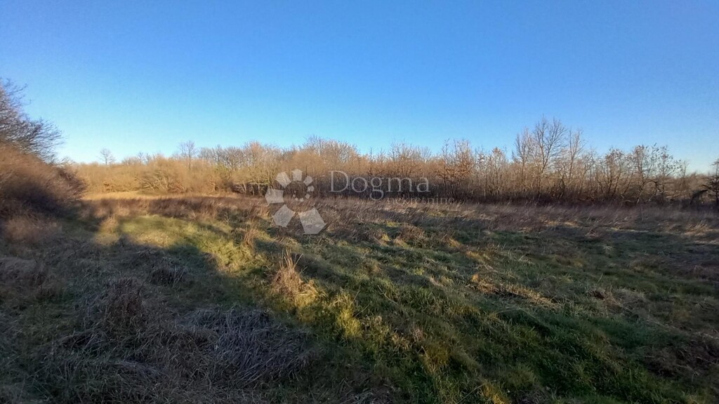 Image 6233017 - 1