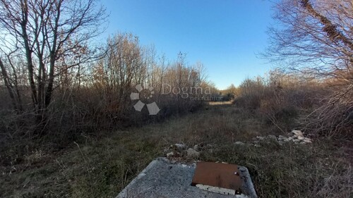 Thumbnail 6233017 - 5