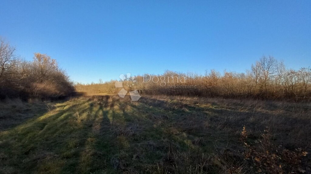 Image 6233017 - 2