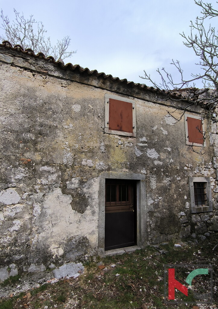 Image 6233040 - 1