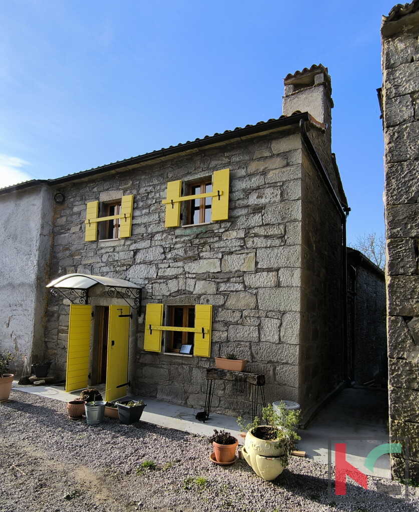 Image 6233042 - 1