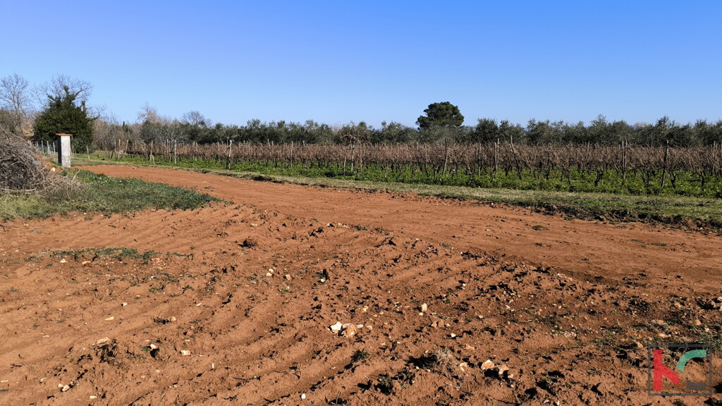 Image 6233043 - 11