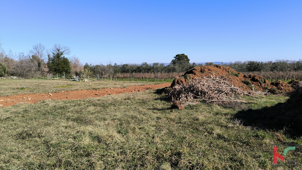 Image 6233043 - 10