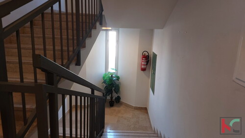 Thumbnail 6233046 - 7