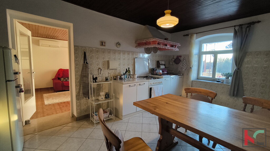 Image 6233047 - 5