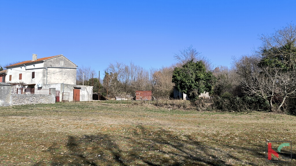 Image 6233047 - 13