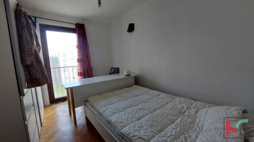 Thumbnail 6233048 - 6