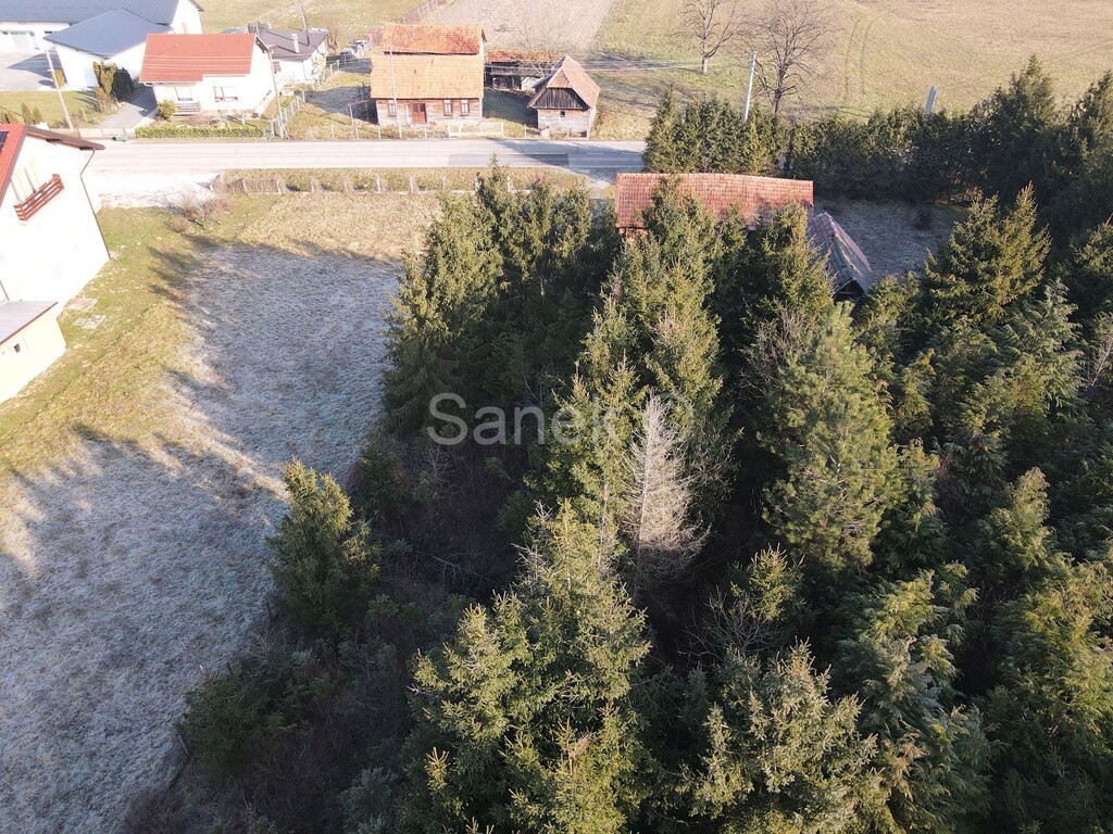 Image 6233088 - 3