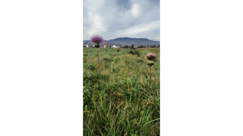 Thumbnail 6233090 - 6