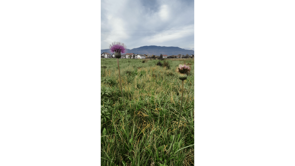 Image 6233090 - 6
