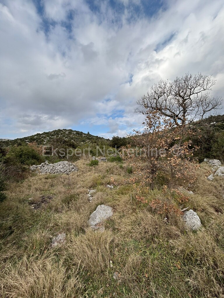 Image 6233117 - 2