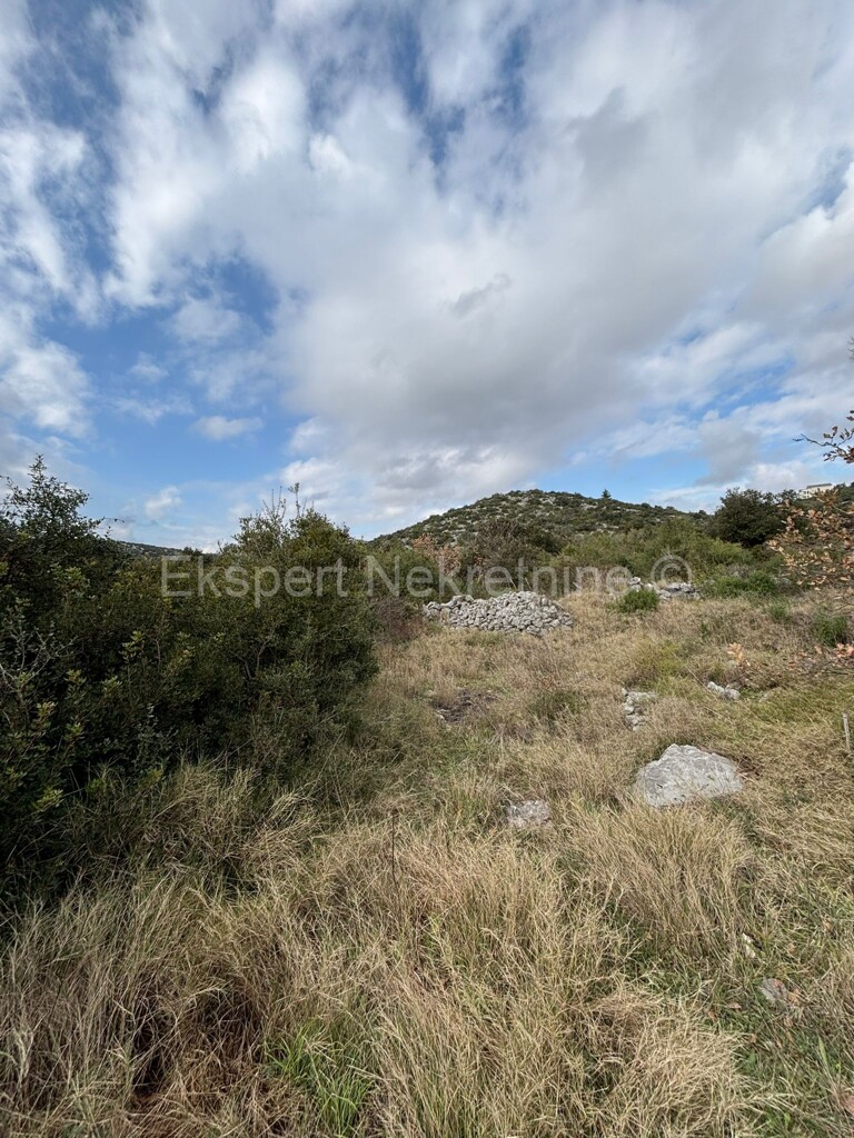 Image 6233117 - 4