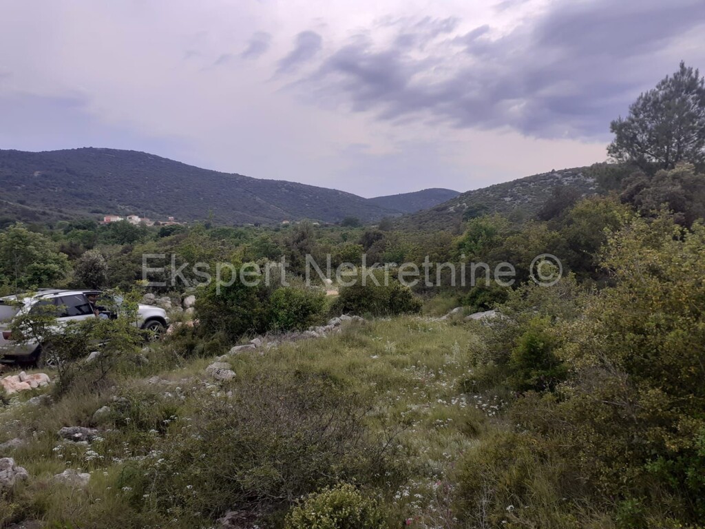 Image 6233117 - 7