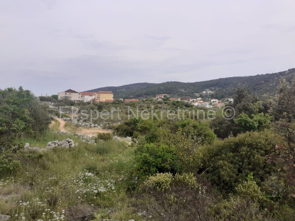 Image 6233117 - 9