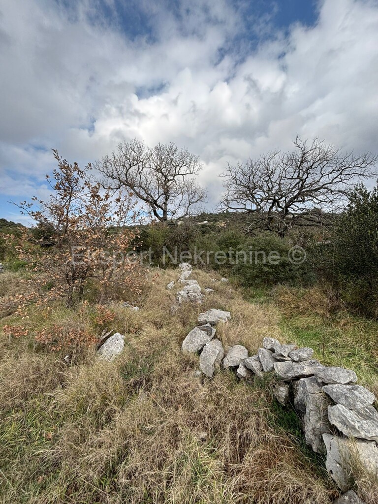 Image 6233117 - 1