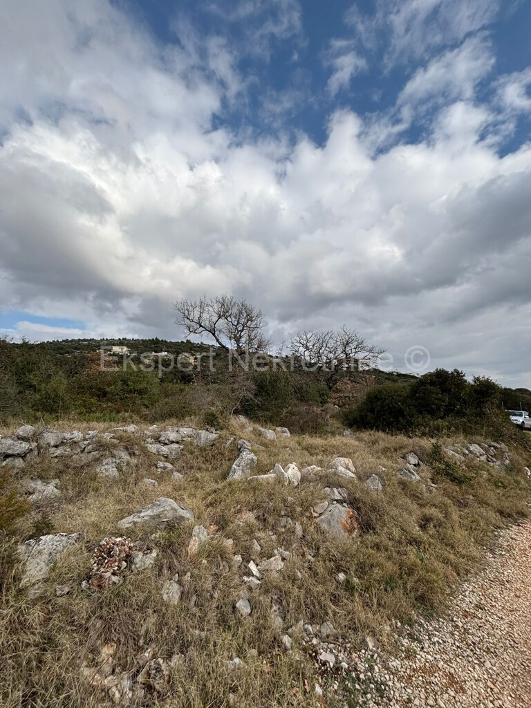 Image 6233117 - 5