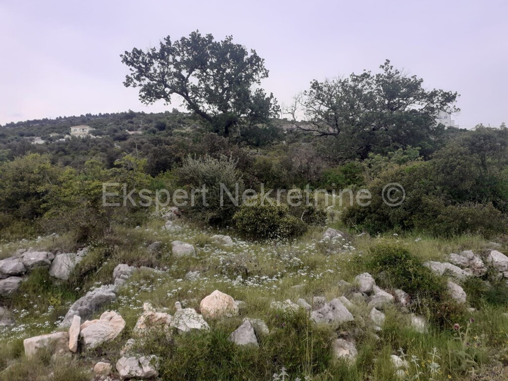 Image 6233117 - 8