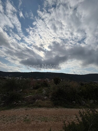 Thumbnail 6233117 - 3