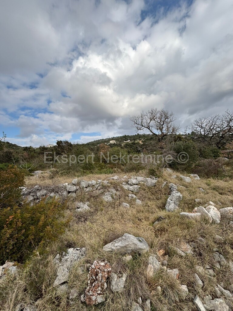 Image 6233117 - 6