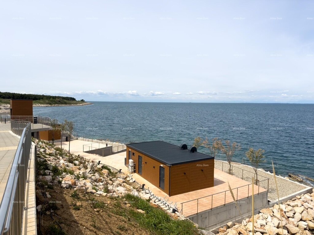 Image 6233145 - 29