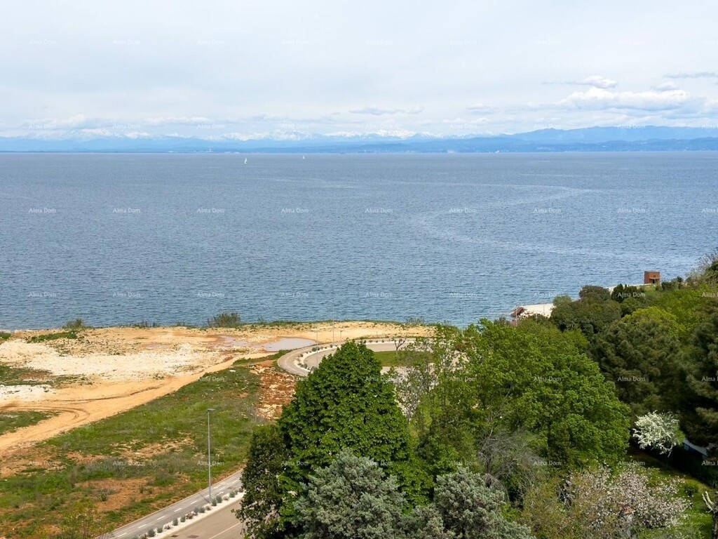 Image 6233145 - 23