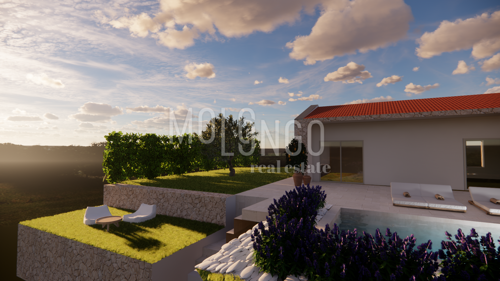 Thumbnail 6233182 - 4