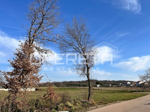 Thumbnail 6233203 - 8