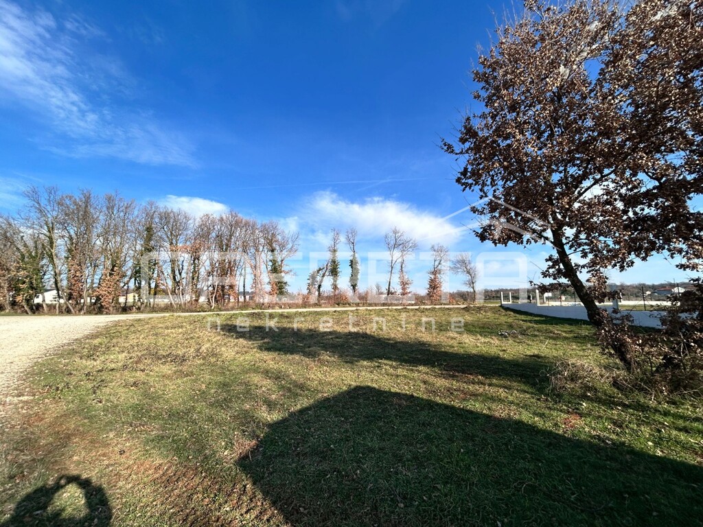 Image 6233203 - 2