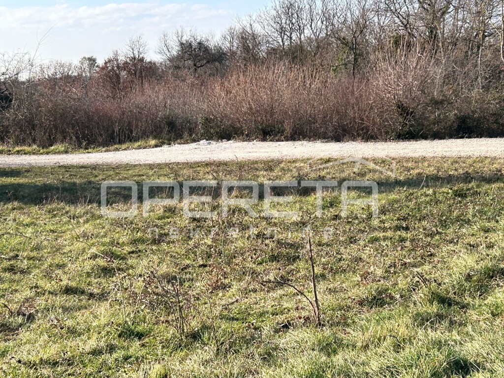 Image 6233203 - 4