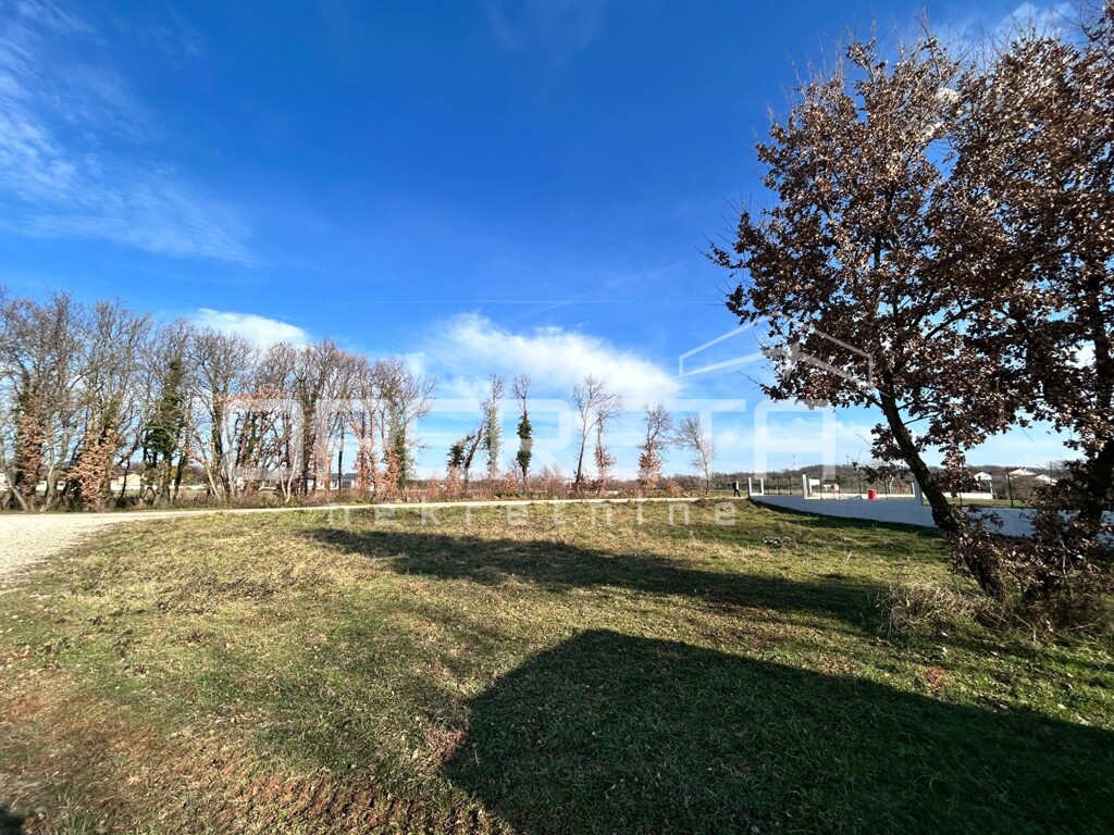Image 6233203 - 7