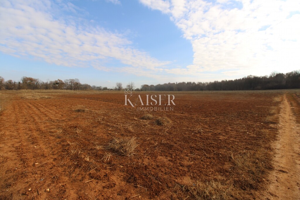 Image 6233217 - 1