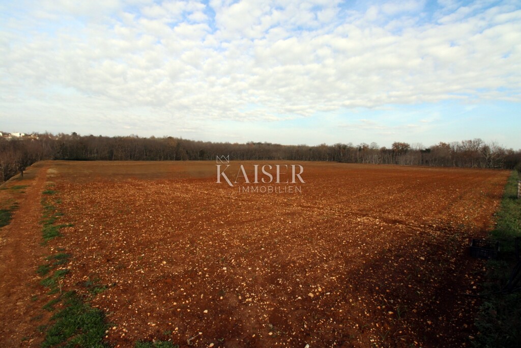 Image 6233217 - 2