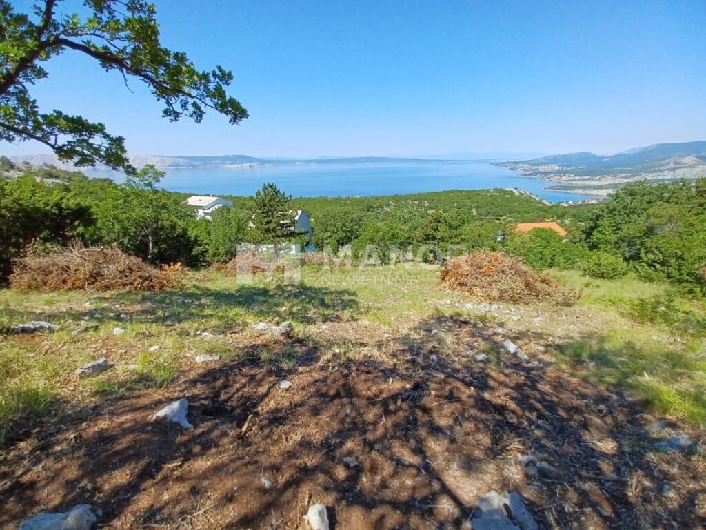 Image 6233239 - 1