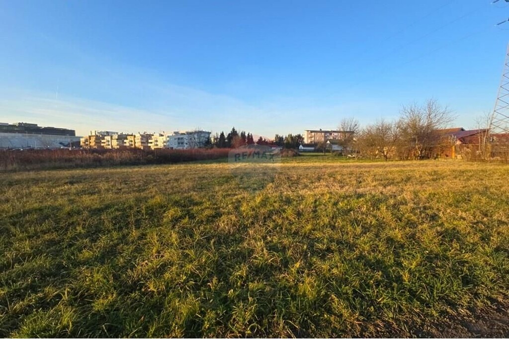 Image 6233539 - 1