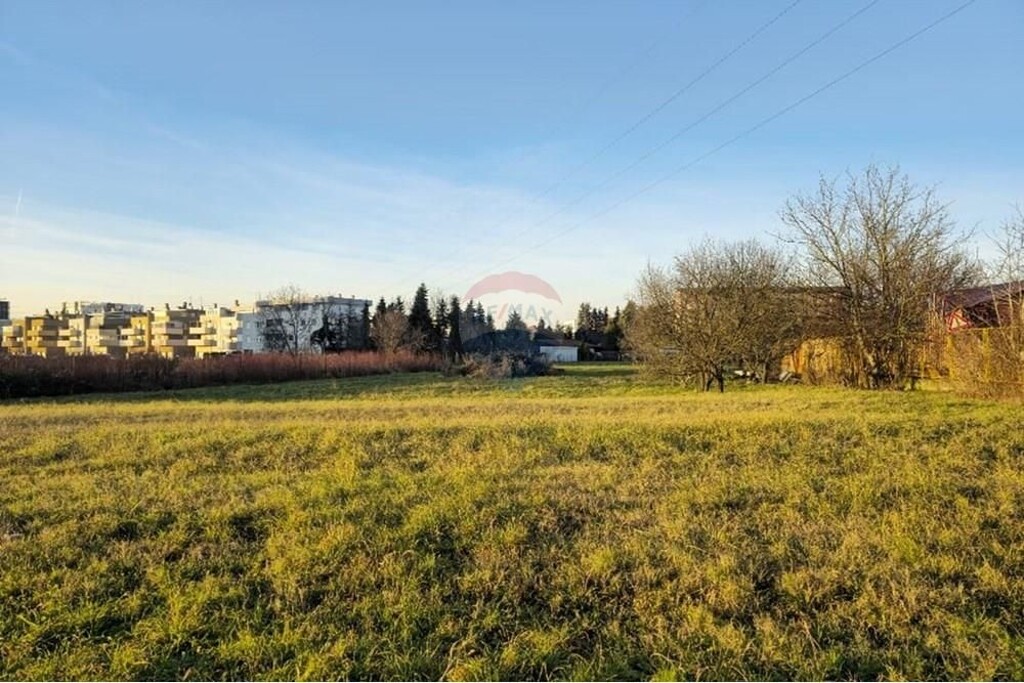 Image 6233539 - 4