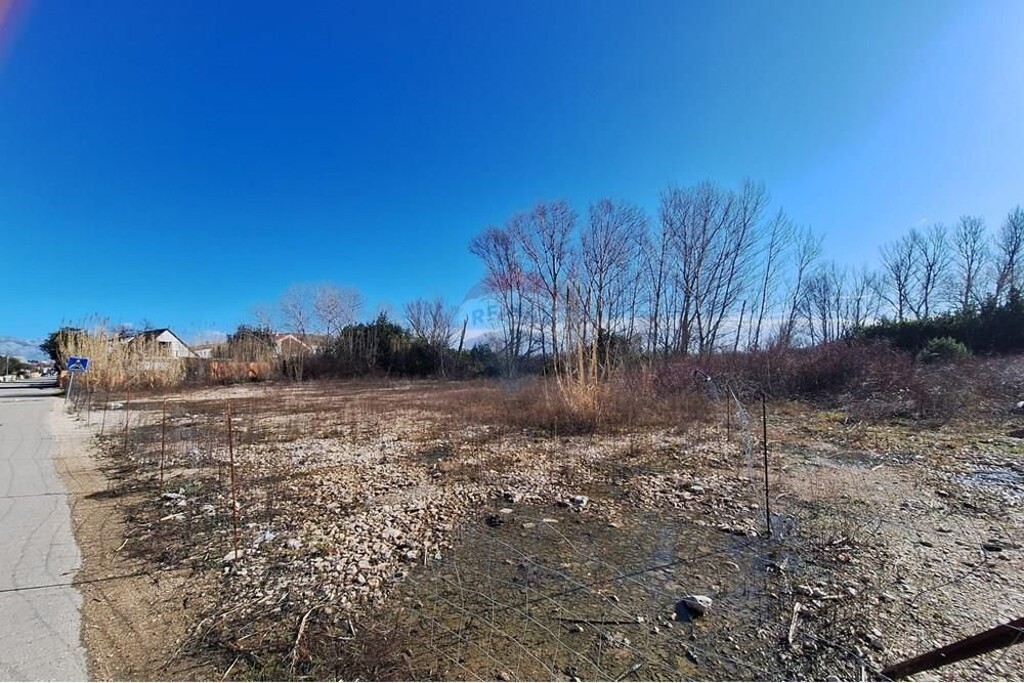 Image 6233555 - 1