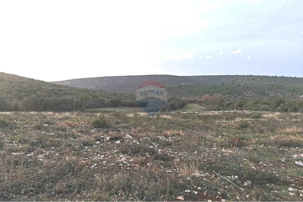 Image 6233581 - 4