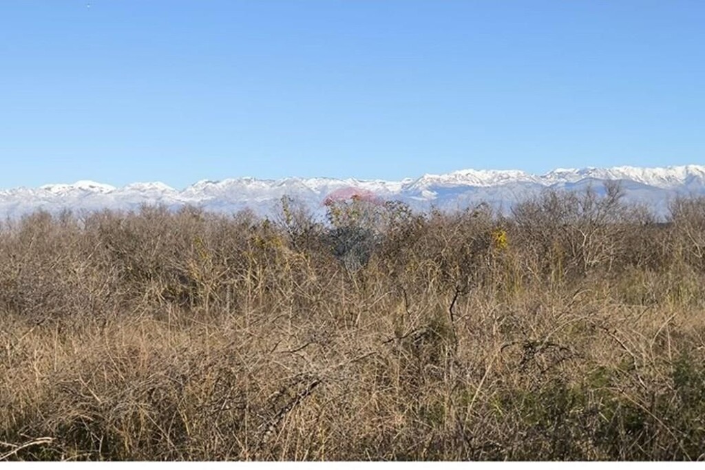 Image 6233597 - 12